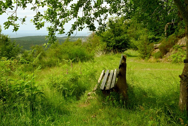 技術潮流 技術潮流