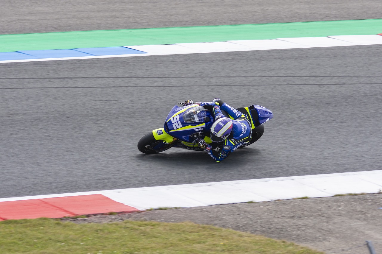 的职业体育 的职业体育