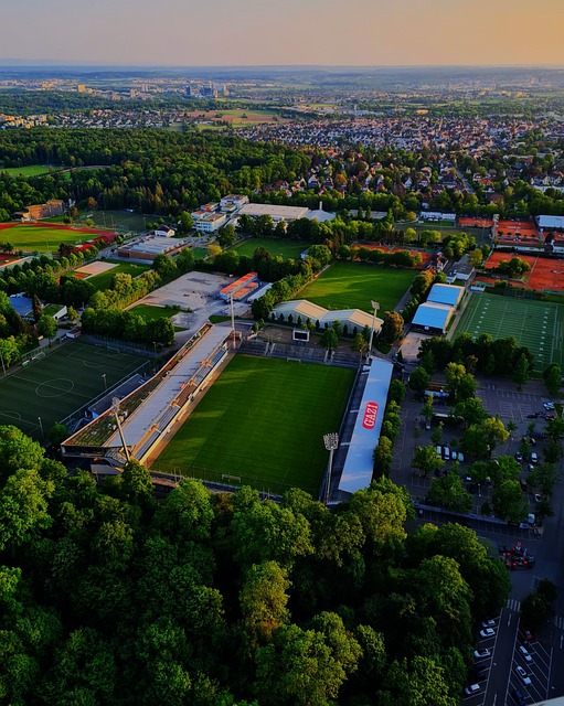 水準的技術 水準的技術