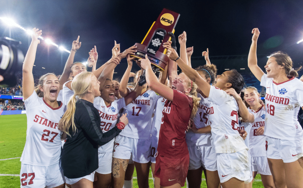 手可热的年 手可热的年